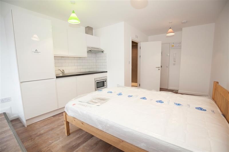 Hounslow Studio Flat, Madison Heights, TW3 To Rent Now for £1,100.