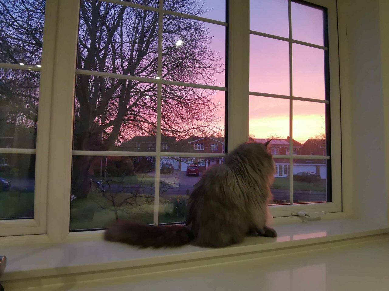 Tonbridge Room in a Shared House, Cheviot Close, TN9 To Rent Now