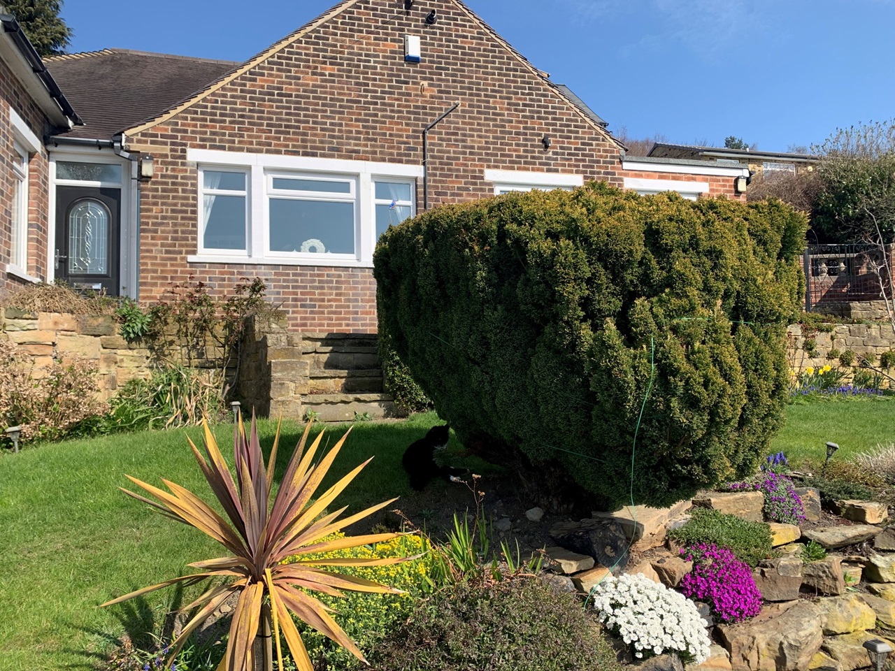 Thornhill, Dewsbury 3 Bed Bungalow, Low Road, WF12 To Rent Now for