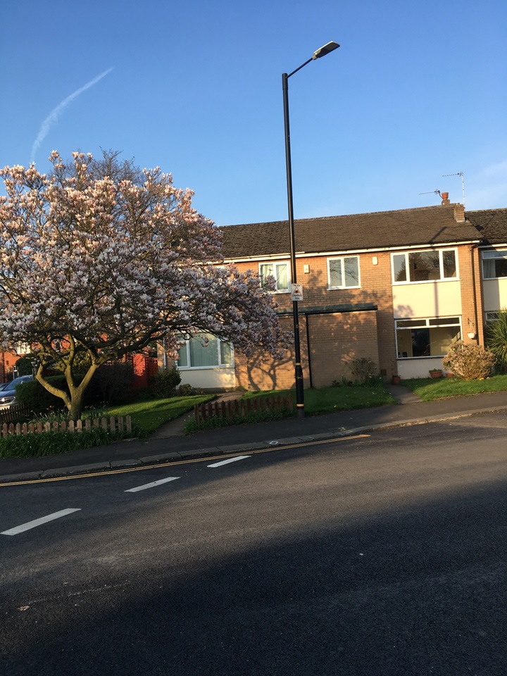 Altrincham 3 Bed Terraced House, Lawrence Road, WA14 To Rent Now