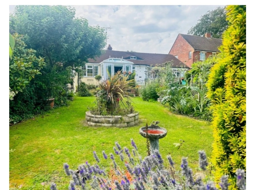 Rowlands Castle 4 Bed Bungalow, Finchdean, PO9 To Rent Now for £