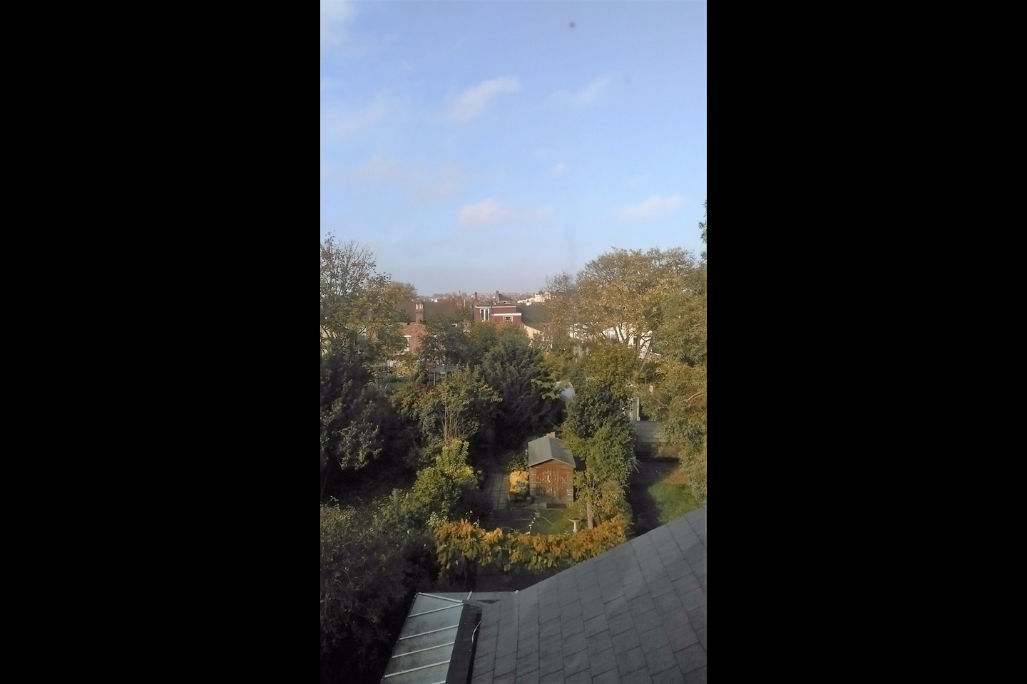 London East Dulwich Studio Flat, East Dulwich, SE22 To Rent Now for