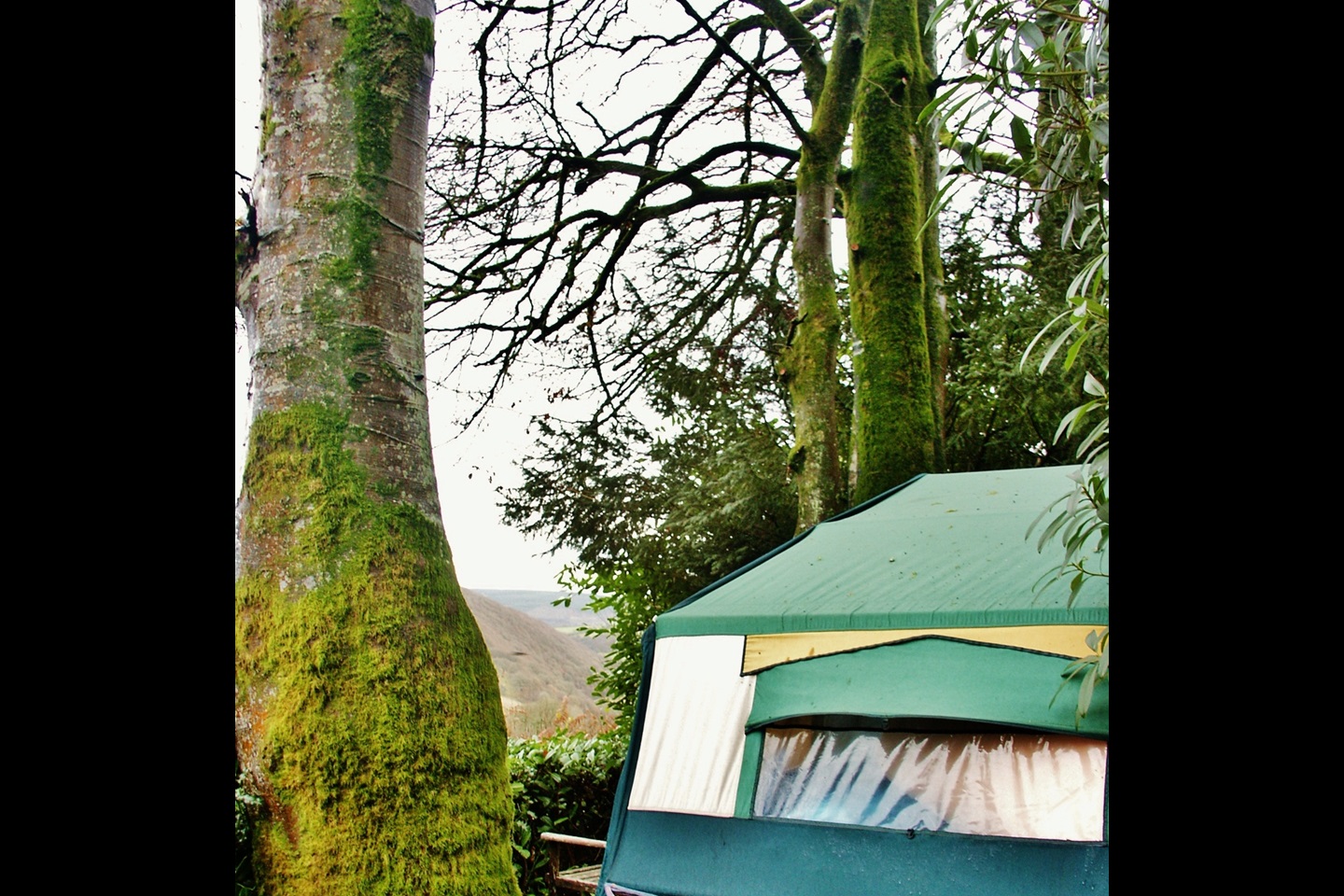 Llanidloes 2 Bed Mobile Home, Providence House, SY18 To Rent Now