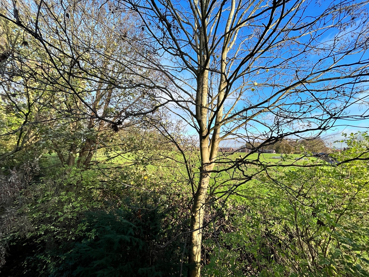 London Studio Flat, Hornsey Lane, N6 To Rent Now for £1,345.00 p/m