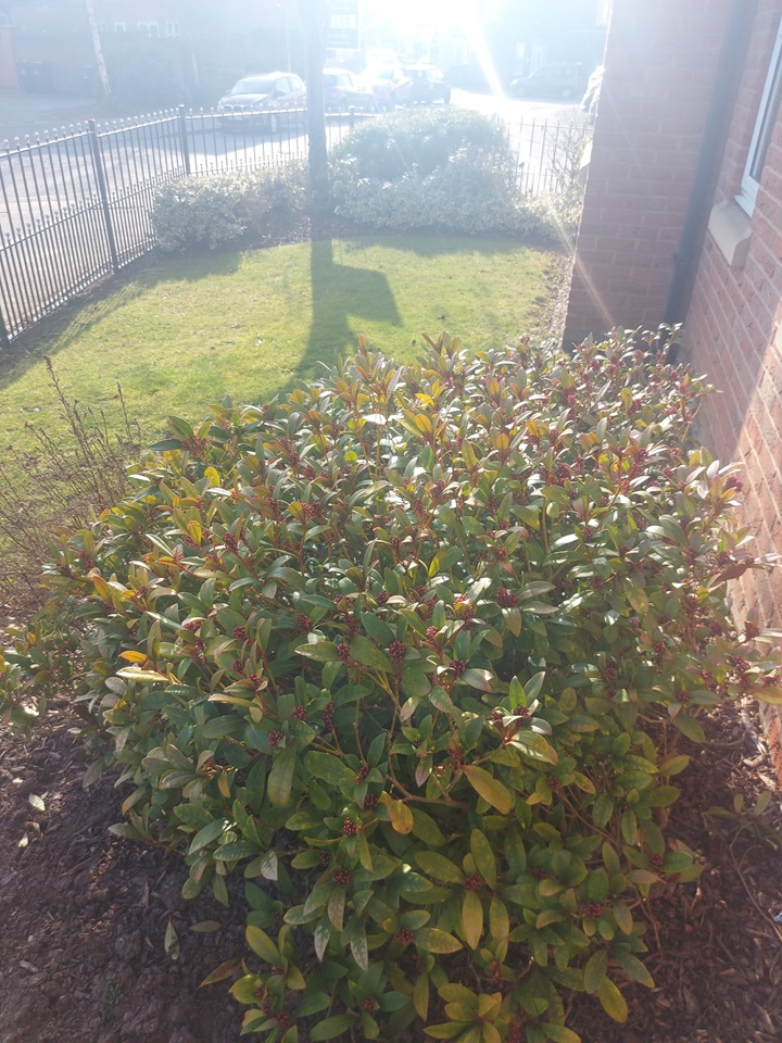 Anstey, Leicester 2 Bed Flat, Ned Ludd Close, LE7 To Rent Now for £