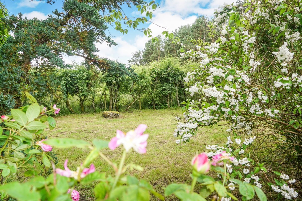 Aboyne 4 Bed Detached House, Kincardine O'neil, AB34 To Rent Now