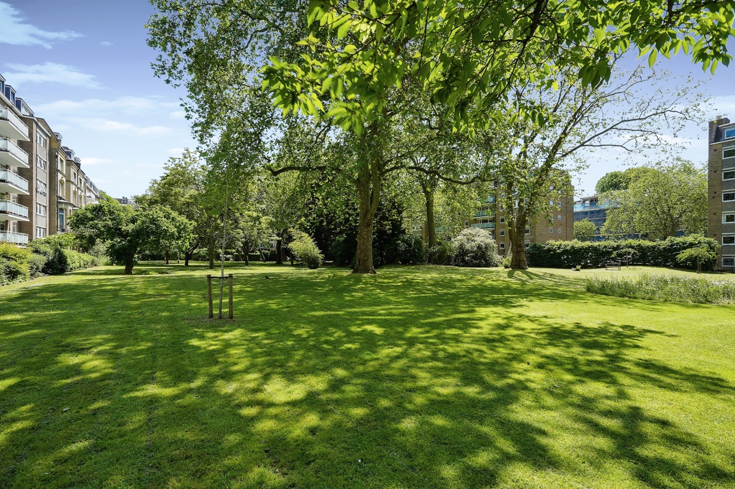 London 1 Bed Flat, Elm Park Gardens, SW10 To Rent Now for £2,300.00 p/m