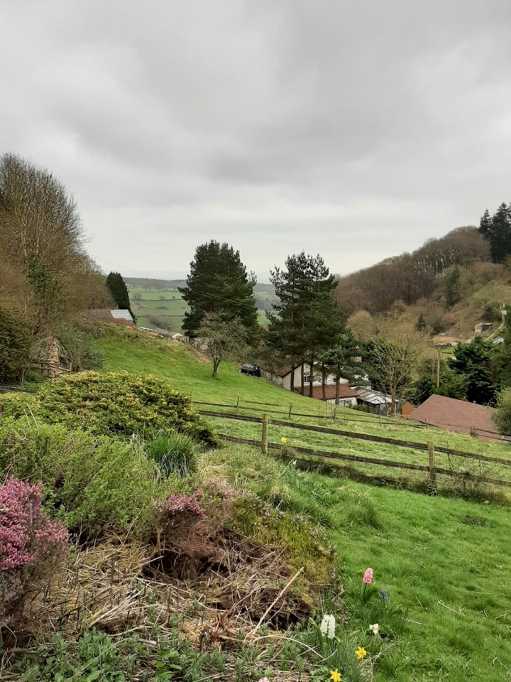 Mitcheldean 3 Bed Detached House, Plump Hill, GL17 To Rent Now for