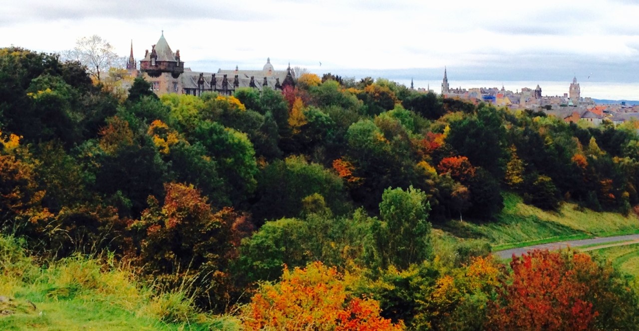 Edinburgh Studio Flat, St Leonard's Crag, EH8 To Rent Now for £760.