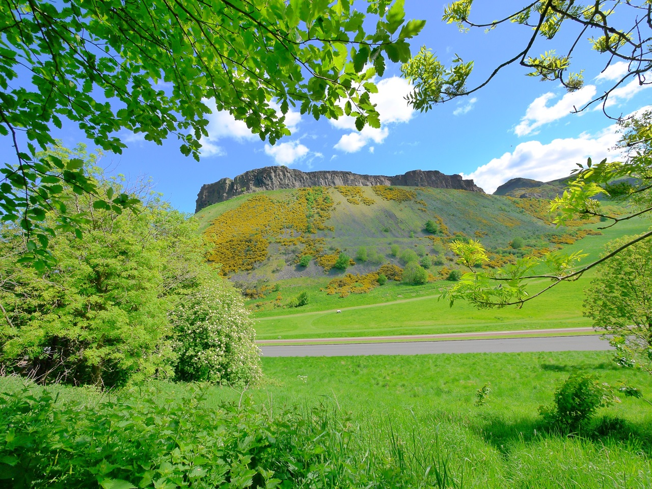 Edinburgh Studio Flat, St Leonard's Crag, EH8 To Rent Now for £760.