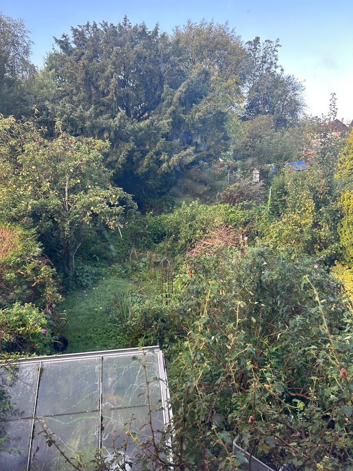 Hassocks Room in a Shared House, Weald Close, BN6 To Rent Now for £