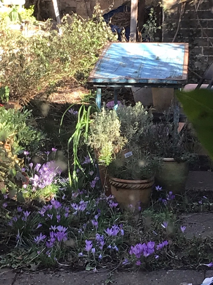 Trumpington, Cambridge 2 Bed Terraced House, Alpha Terrace, CB2 To