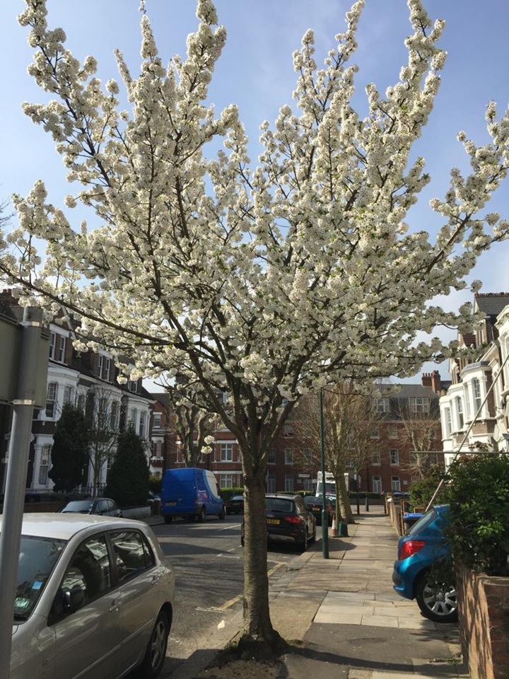 London Studio Flat, Buckley Road, NW6 To Rent Now for £1,200.00 p/m