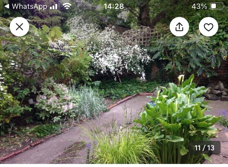 Hove Studio Flat, Selborne Road, BN3 To Rent Now for £950.00 p/m