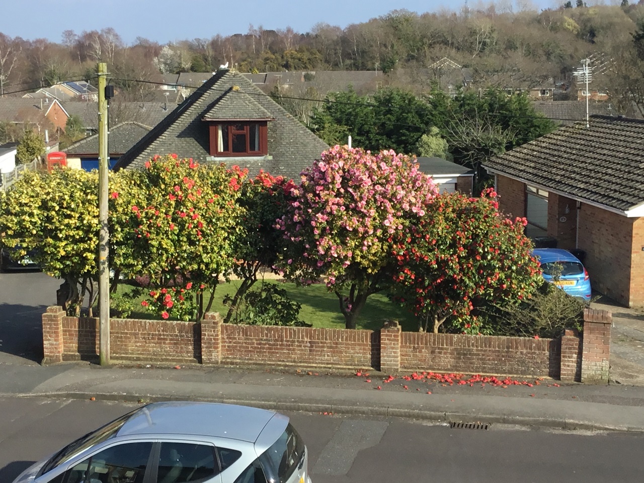 Dorset 2 Bed Flat, Corfe Mullen, BH21 To Rent Now for £995.00 p/m